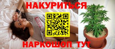 a pvp Моздок