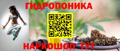 a pvp Моздок