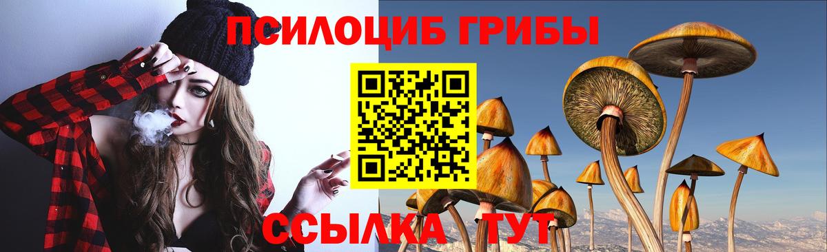 Шали  Псилоцибиновые грибы Cubensis  Вход с VPN 