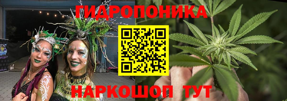 Шишки марихуана семена Шали